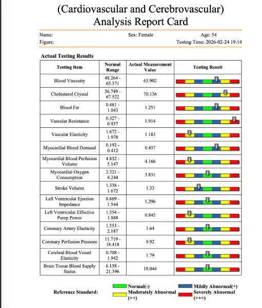Vital Health Scanner device